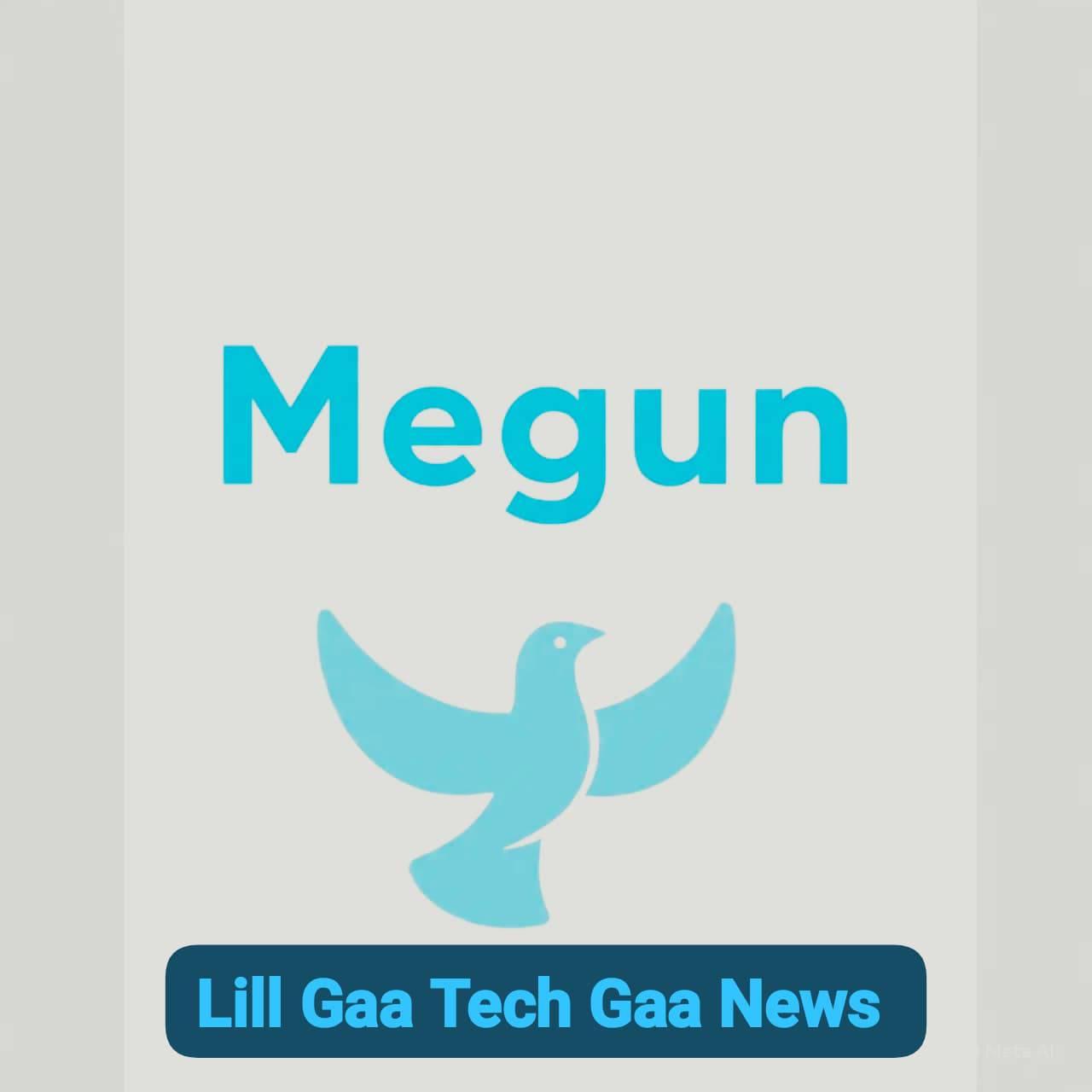 Megun Ongetech Gaa