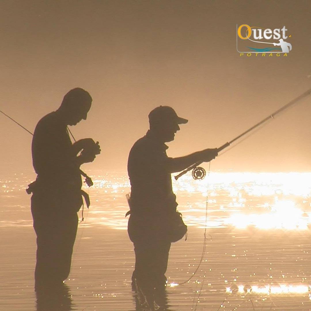 QUEST