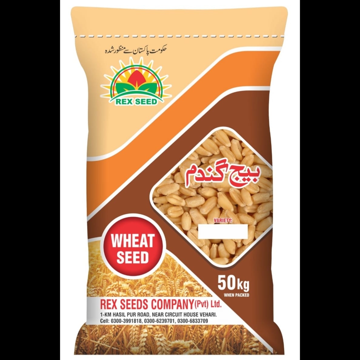 Rex seeds vehari