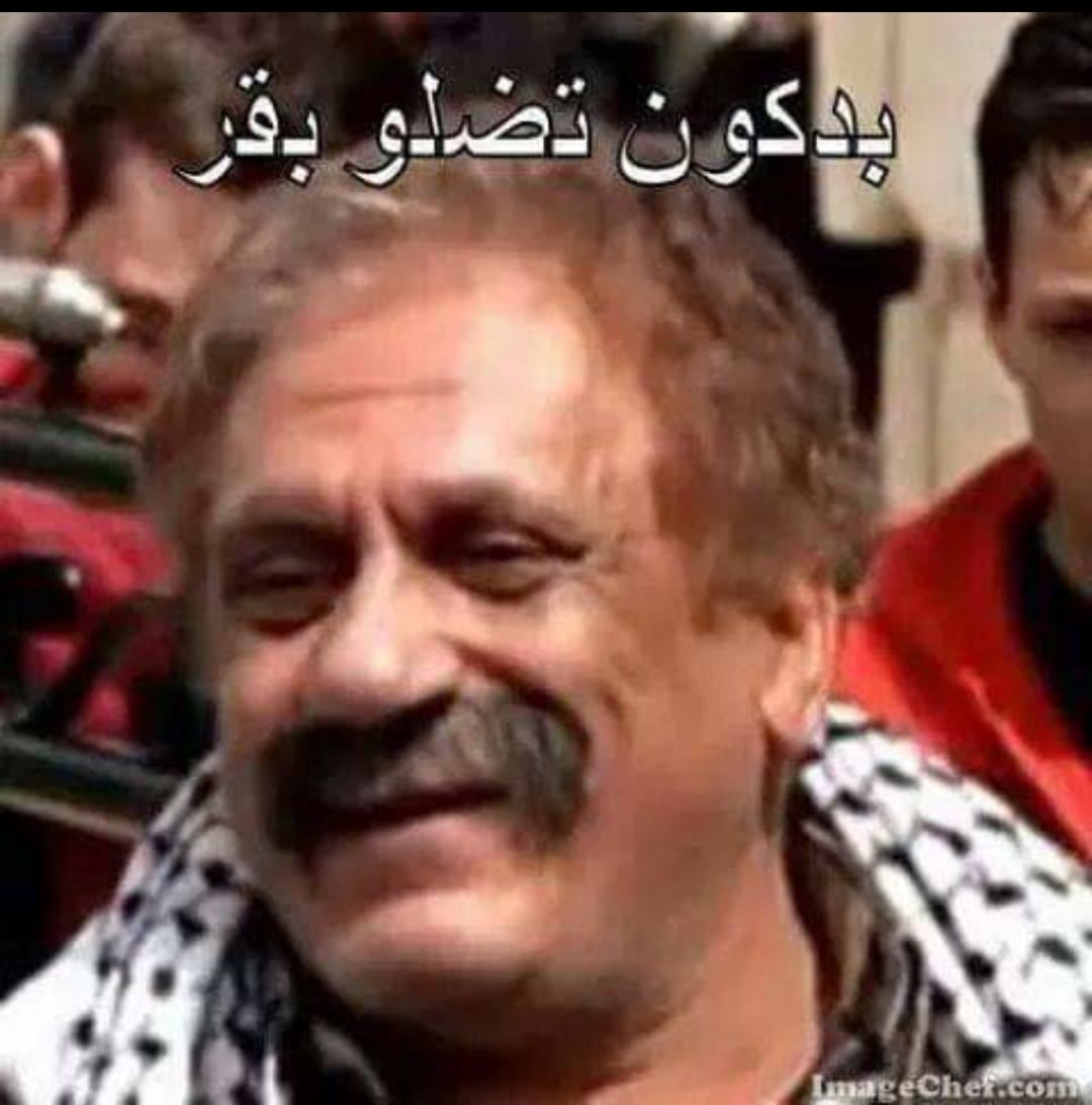 صنة +1