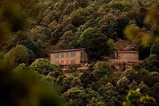 Oak Chalet