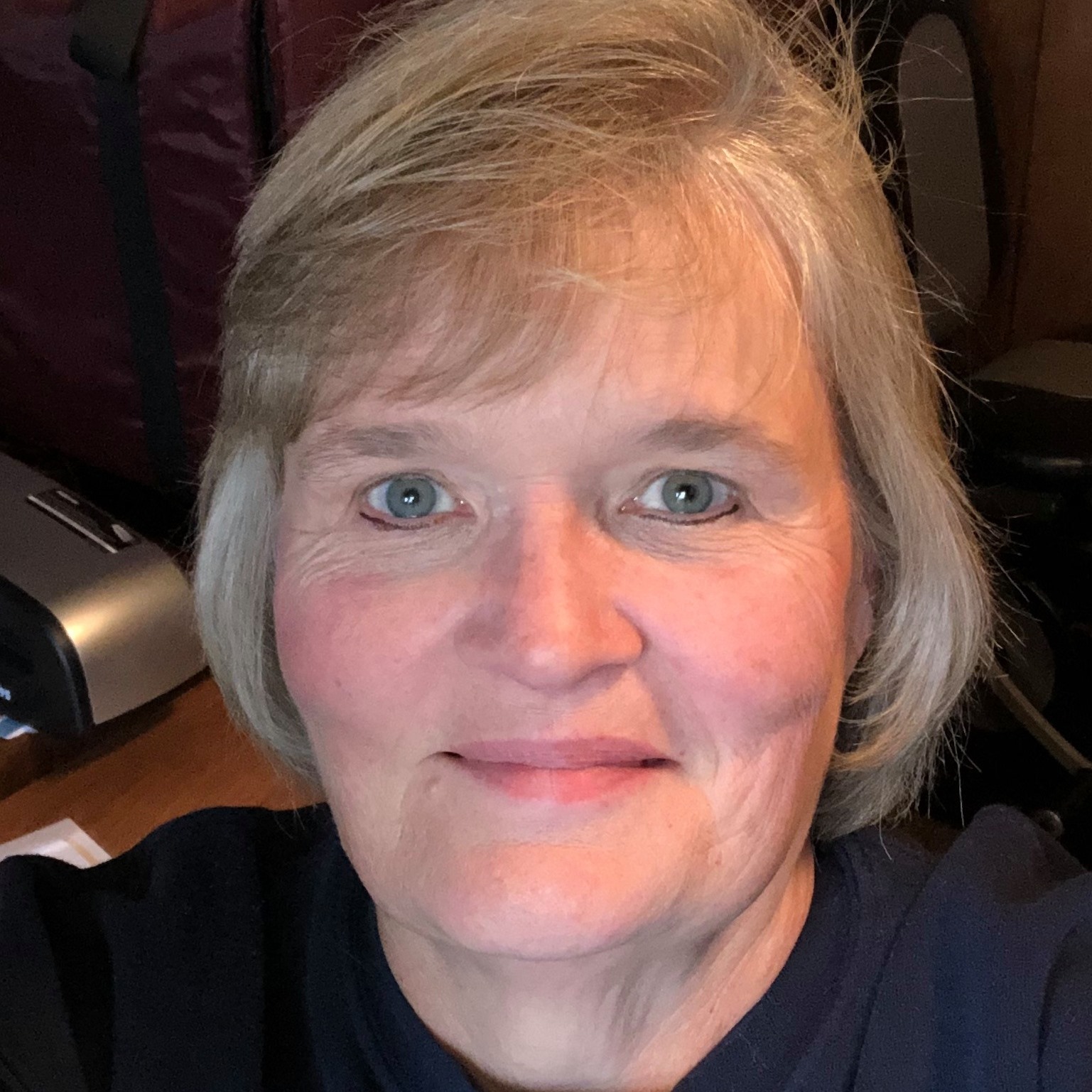 Tammy L Schmidt, Independent Pampered Chef Consultant