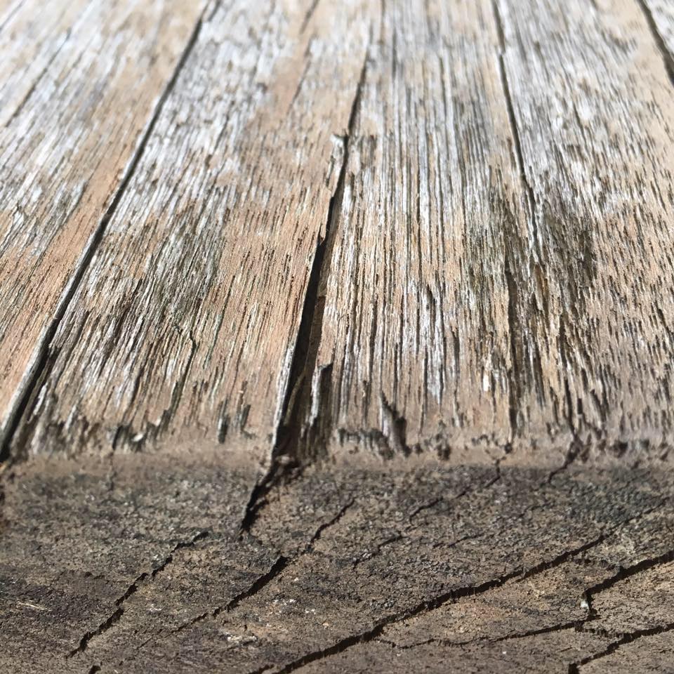 Rusty Timber | Shallowater TX