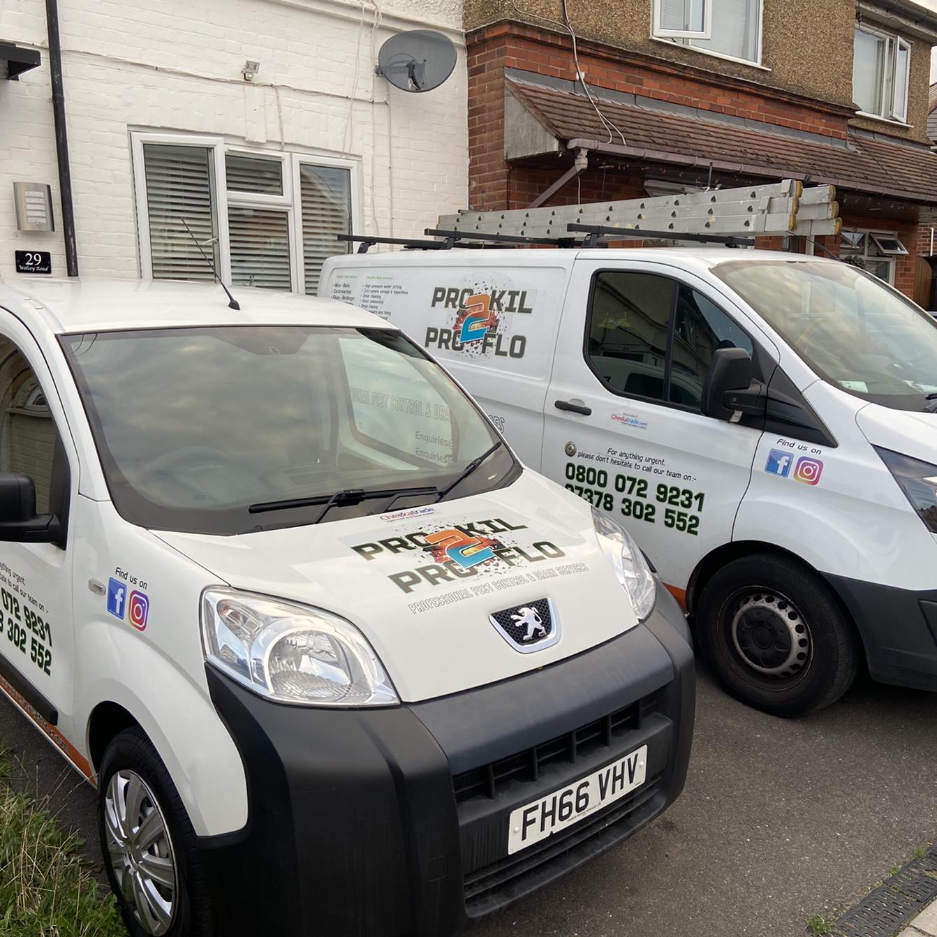 Pro2kil pest control | London