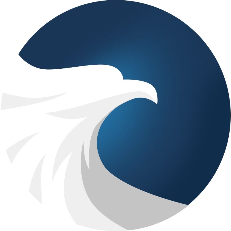 FastHawk international logistic 国际物流 | Shenzhen