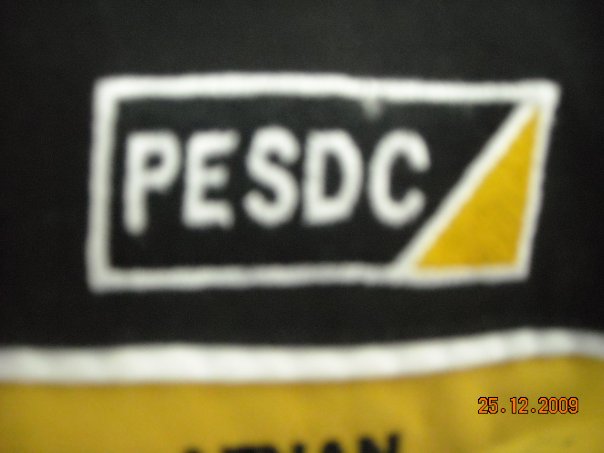 pesdc-auto group | Pusing