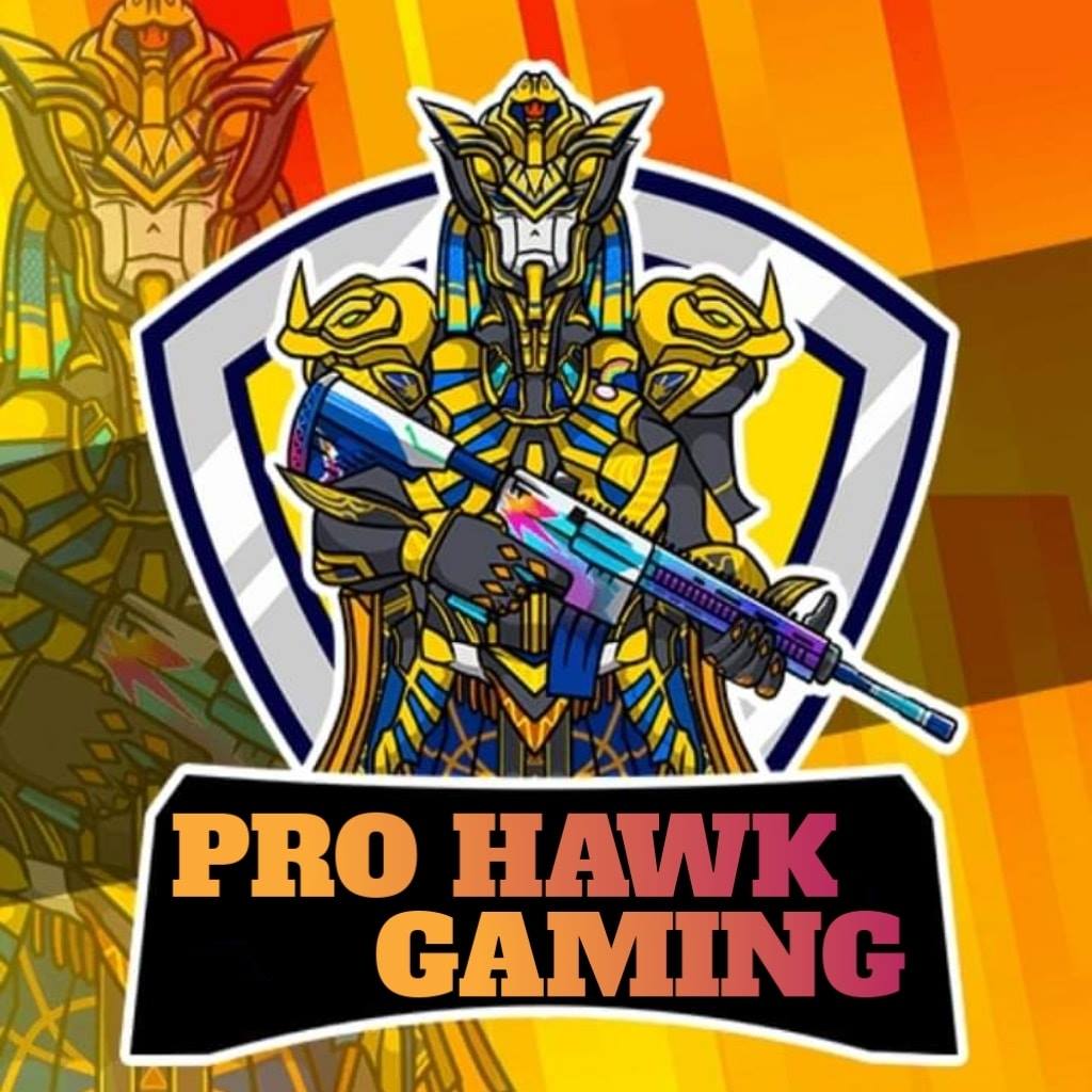 Pro hawk gaming
