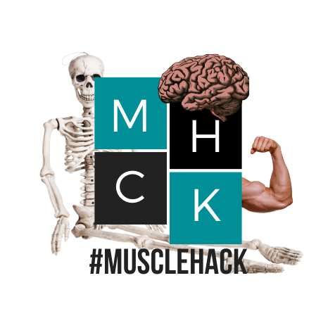 Обучающий центр Muscle Hack