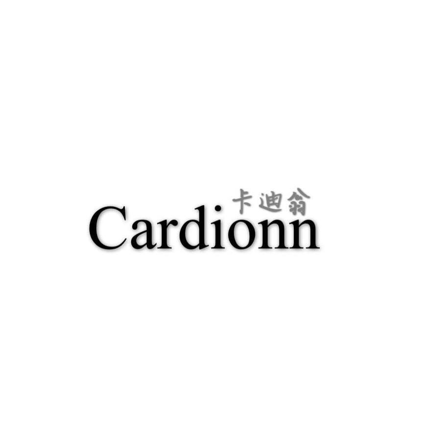Cardionn Silver Accessories