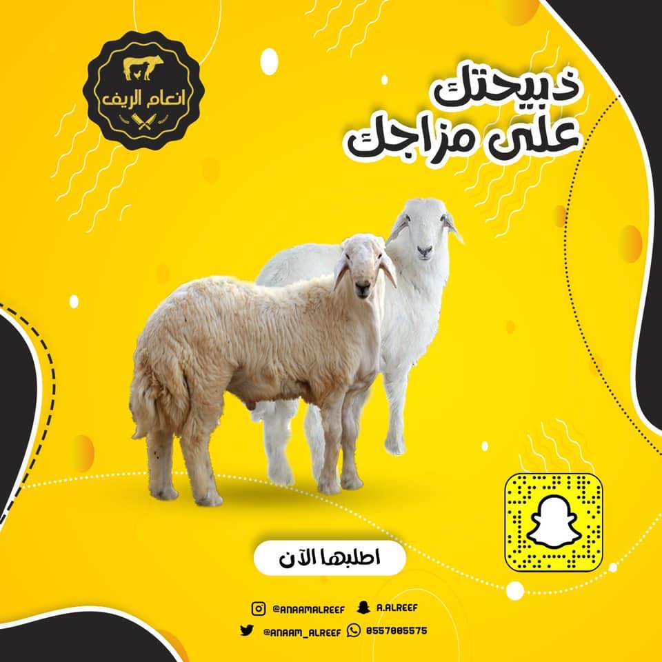 انعام الريف