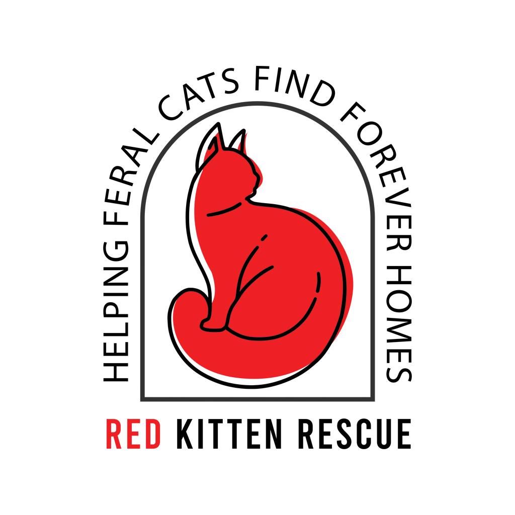 Red Kitten Rescue