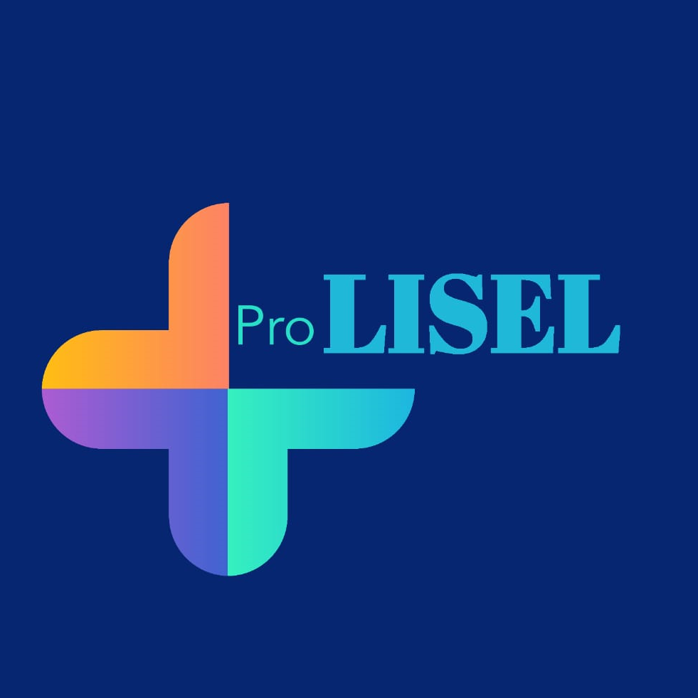 Provisiones Lisel