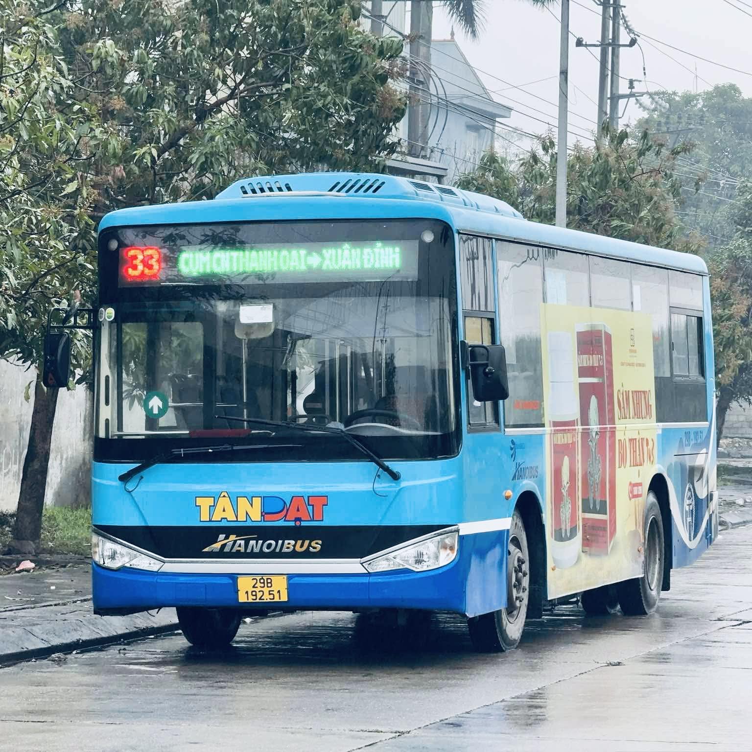 Bus 33