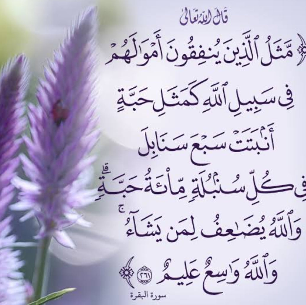 سبع سنابل