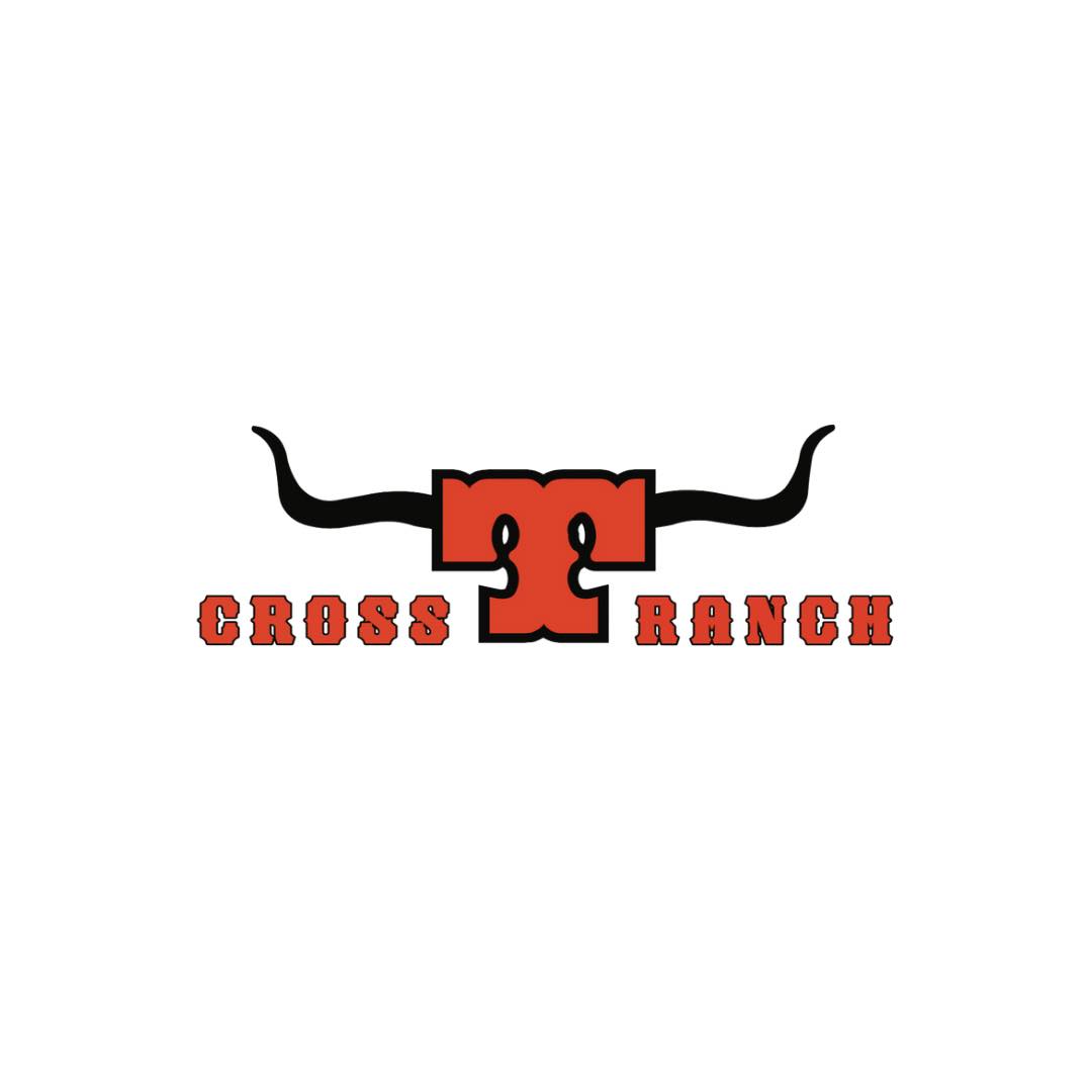 Cross T Ranch Longhorns | Bandera TX