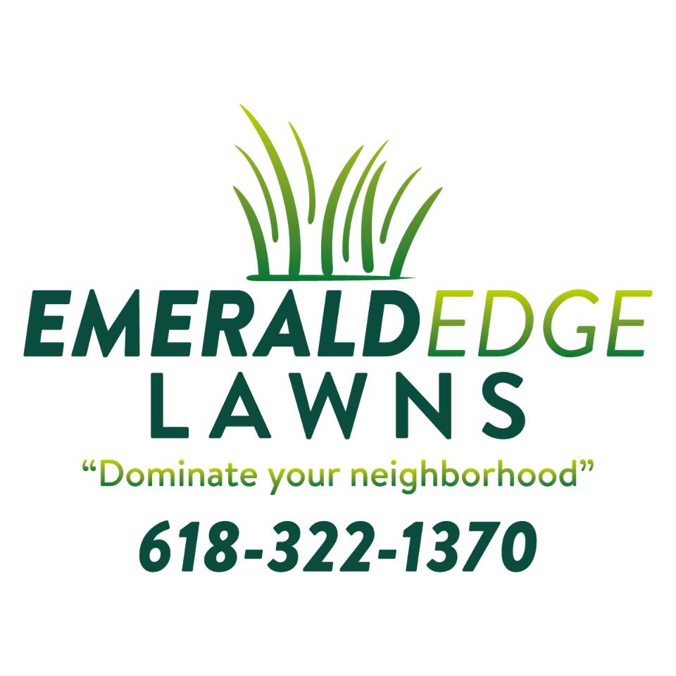 🌿 1. It helps your lawn recover from summer stress. Heat, drought, foot ...