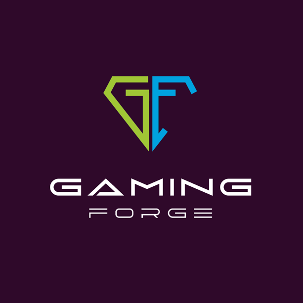 Gaming Forge - forge for new esport stars | Łódź