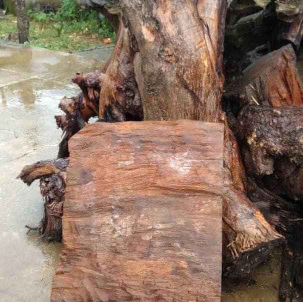 Phôi gỗ các loại giá rẻ