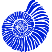 Gloucester Fossil Festival | Facebook