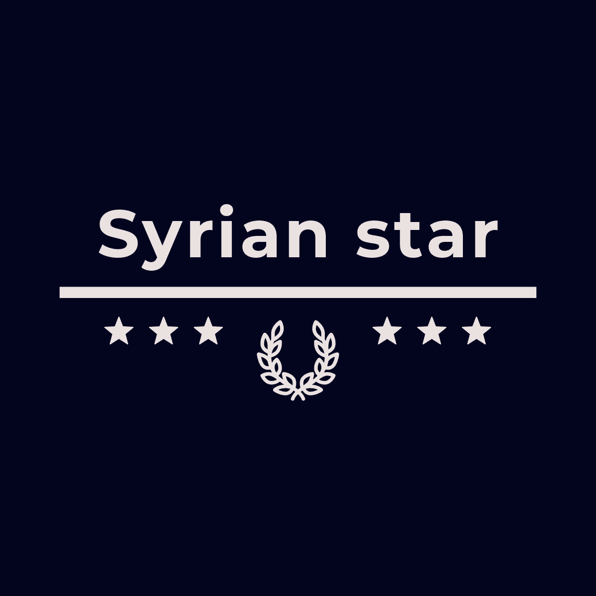 Syrian star copper makers