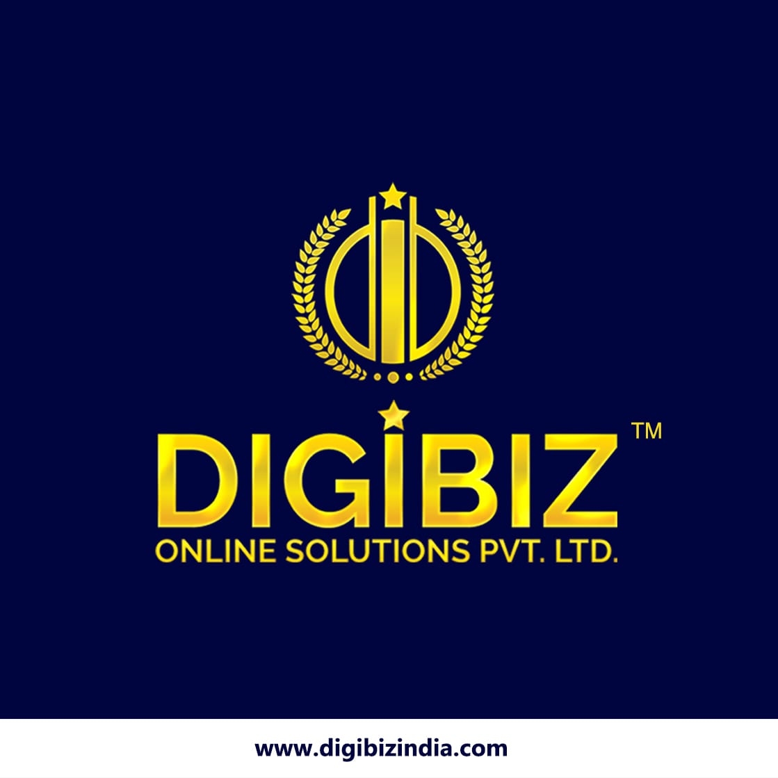 Digibiz Homes