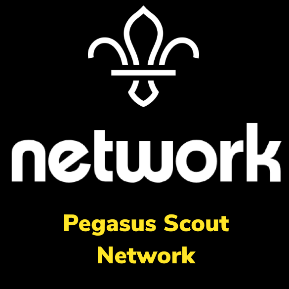 Scout Network Logo