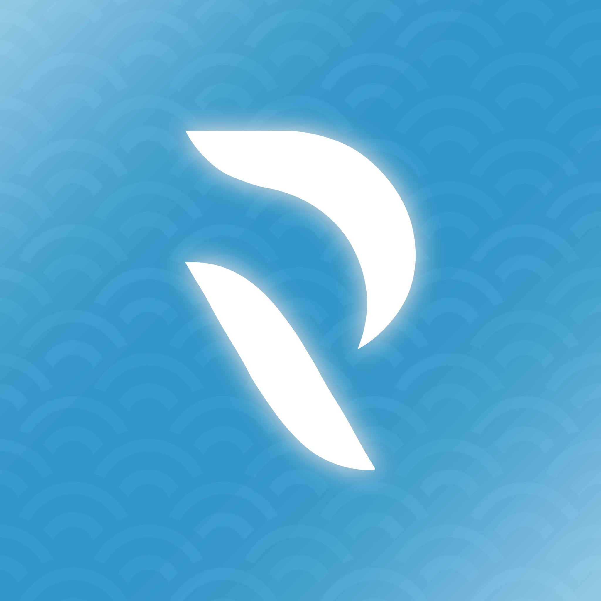 Ravin Design