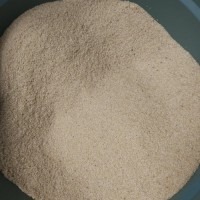 Telur Jangkrik Harga Termurah Se Indonesia