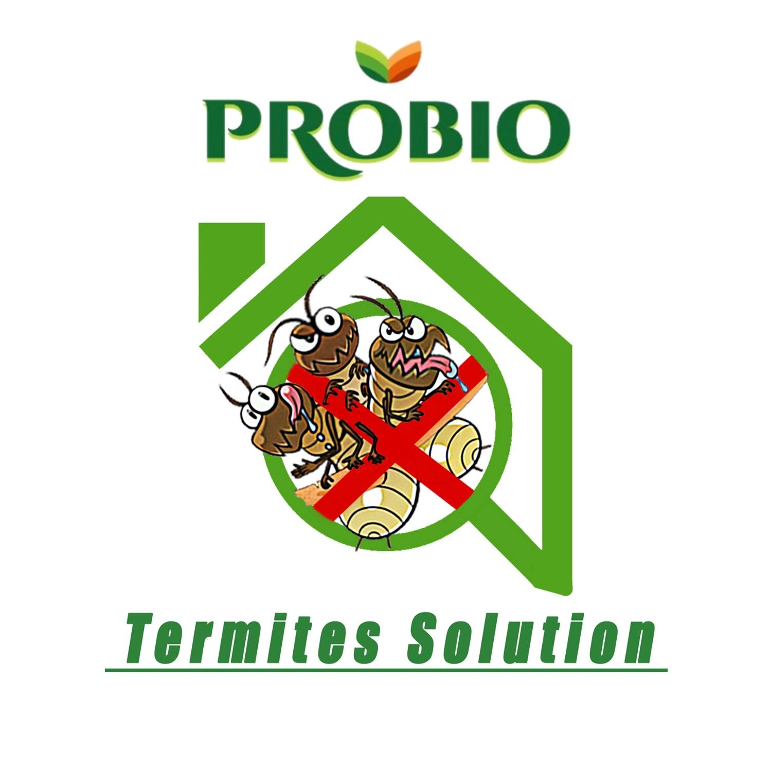 Pro Bio Termites Solution 灭白蚁专家