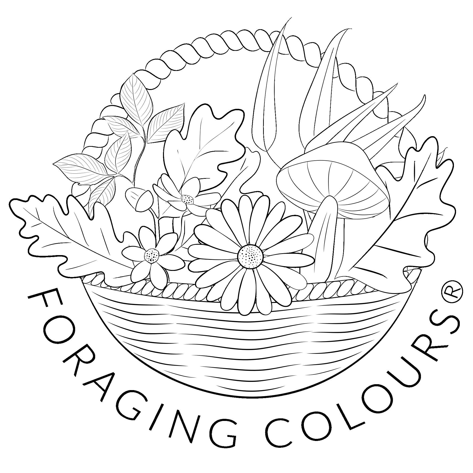 Foraging colours - Vestir, pintar e criar com a natureza