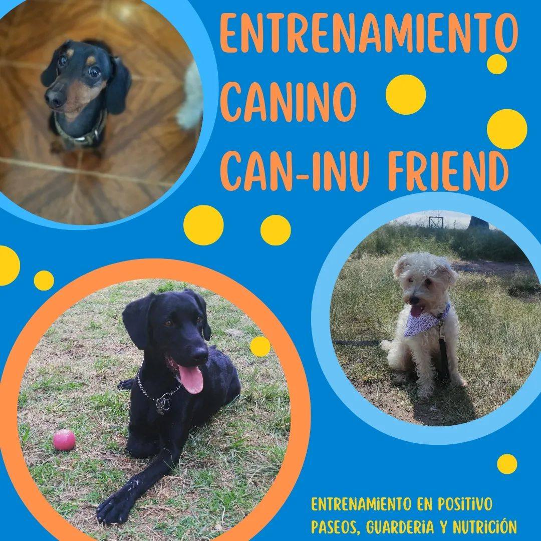 Can-Inu Friend | Estado de México