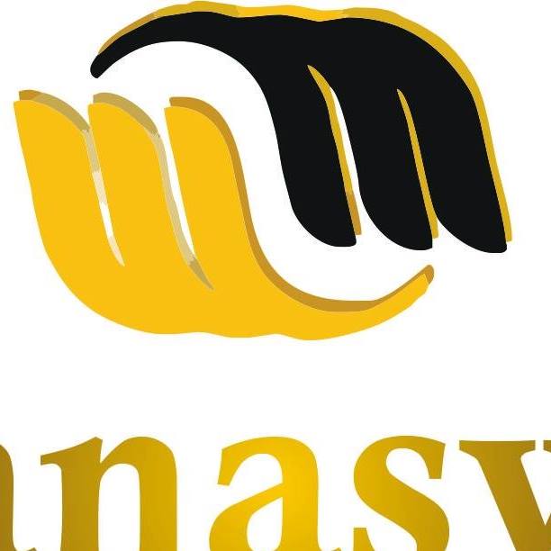 Manaswin edu con pvt. ltd. | Vapi