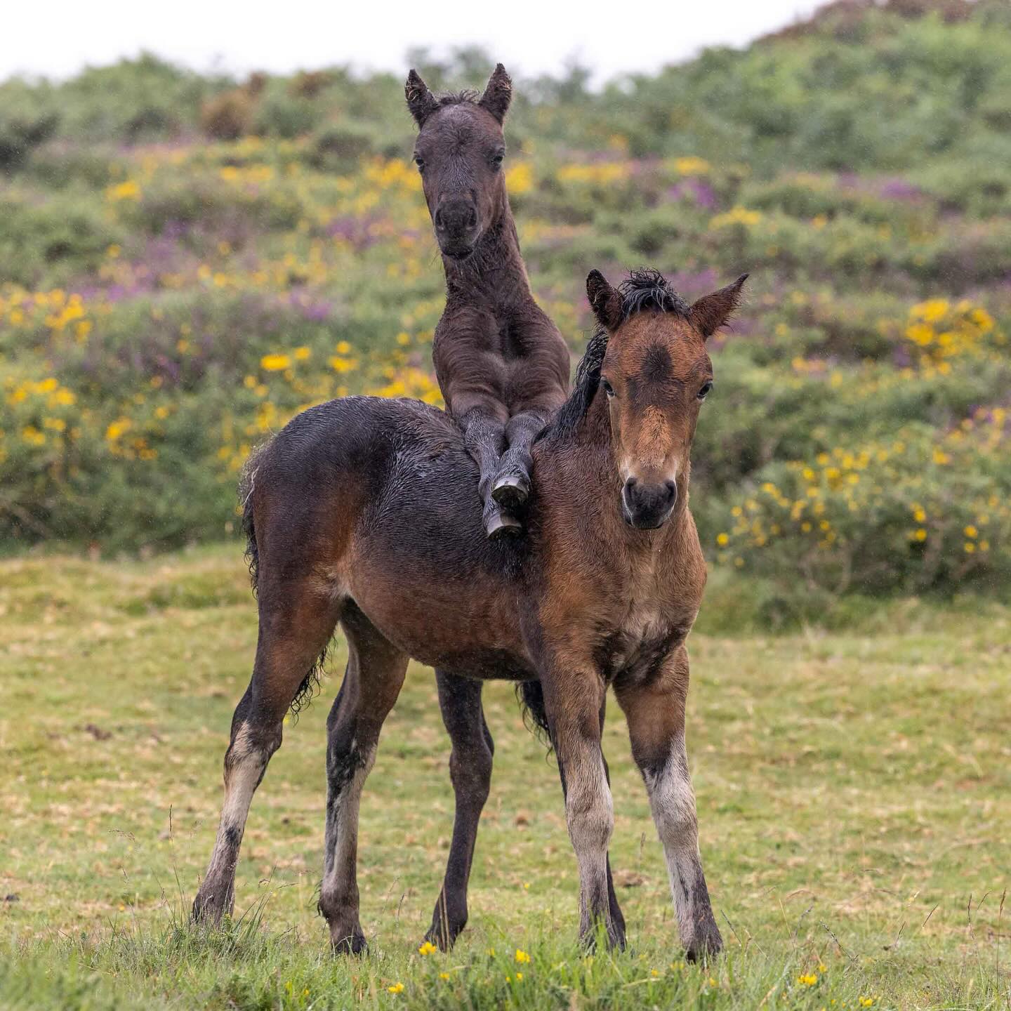 Active Dartmoor | Okehampton