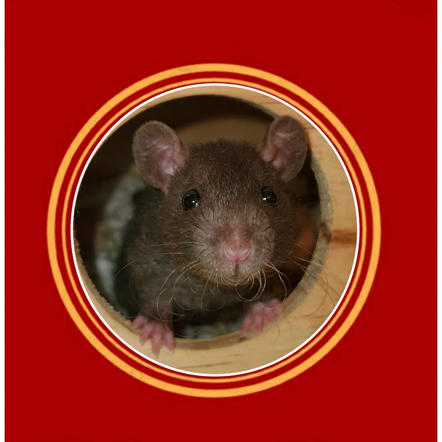 Regal Rose Rattery | Newport News VA