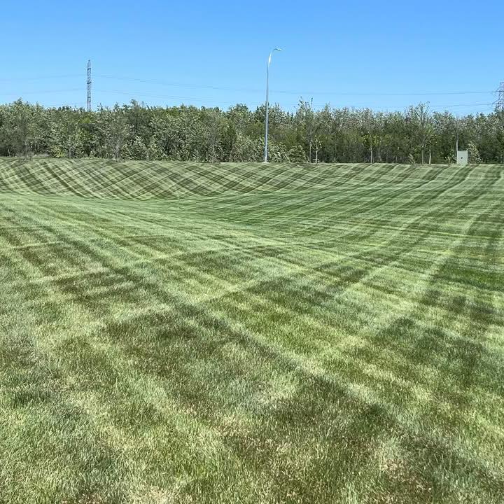 Go Short Lawn Care | Edmonton AB