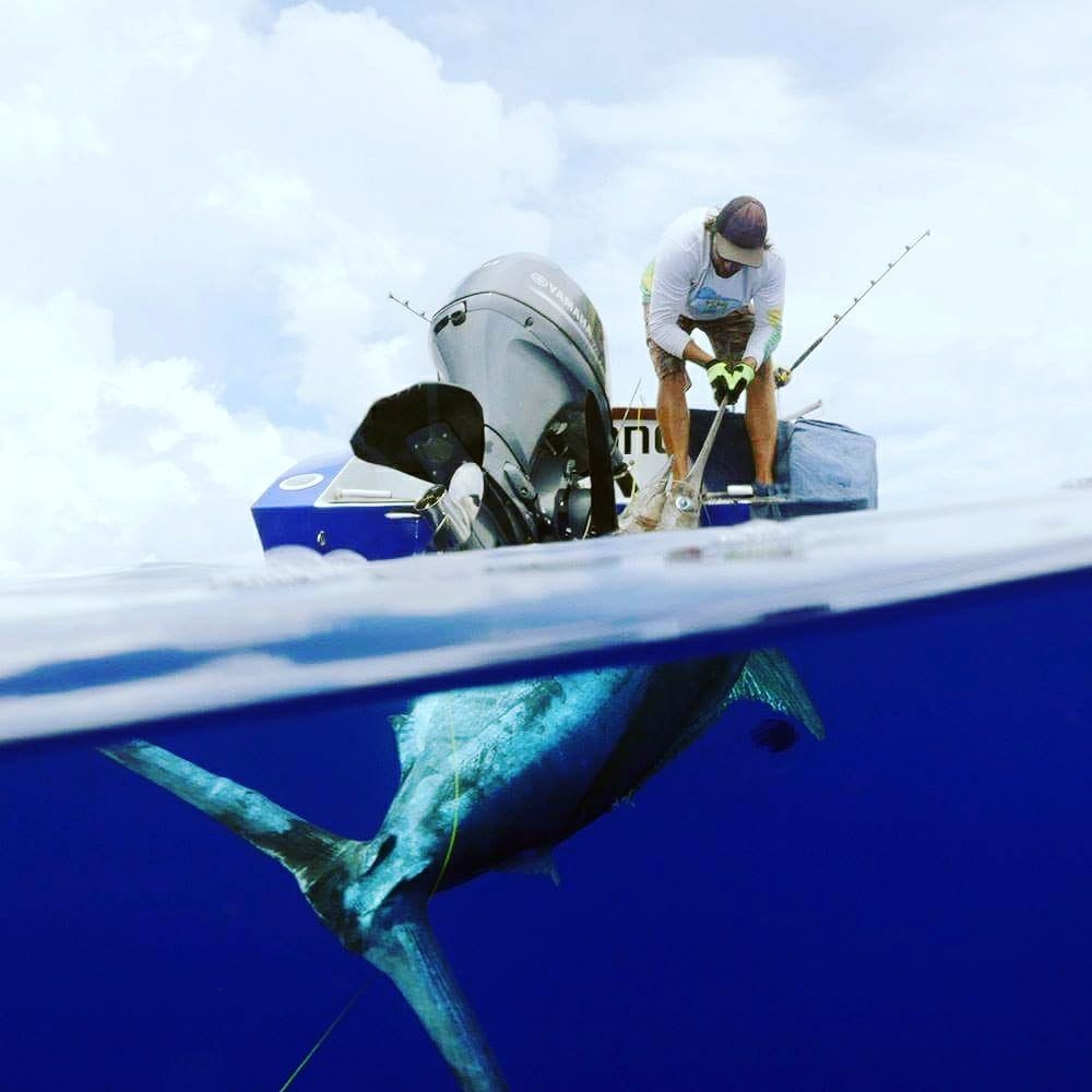 Fishing Rarotonga | Brunswick ME