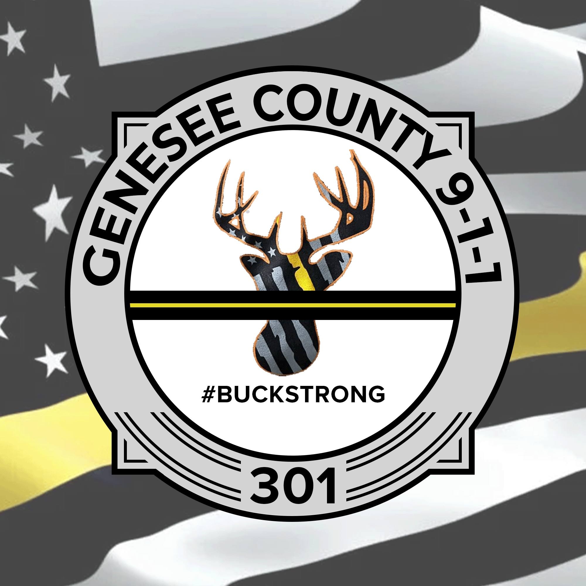 Active 911 Events Genesee County