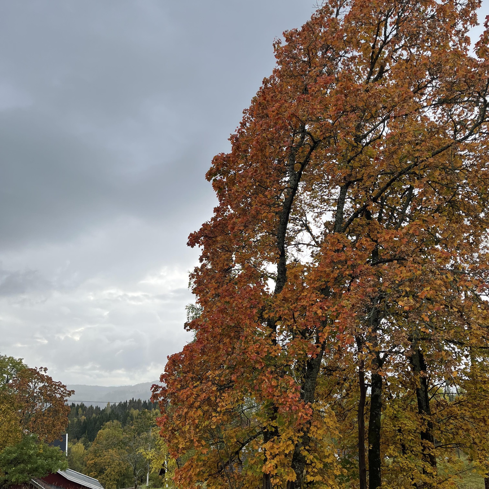 Kjelsaas Gård | Oslo