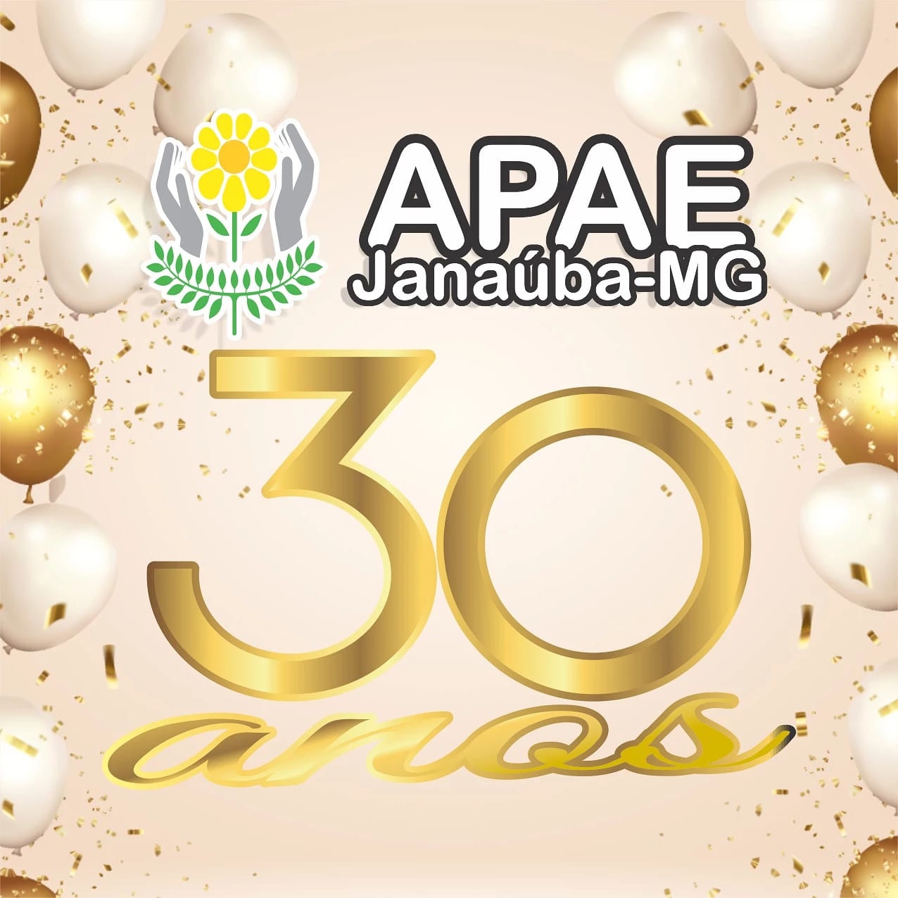 APAE Janaúba-MG . Nenhum de nós é tão bom quanto todos nós juntos ...