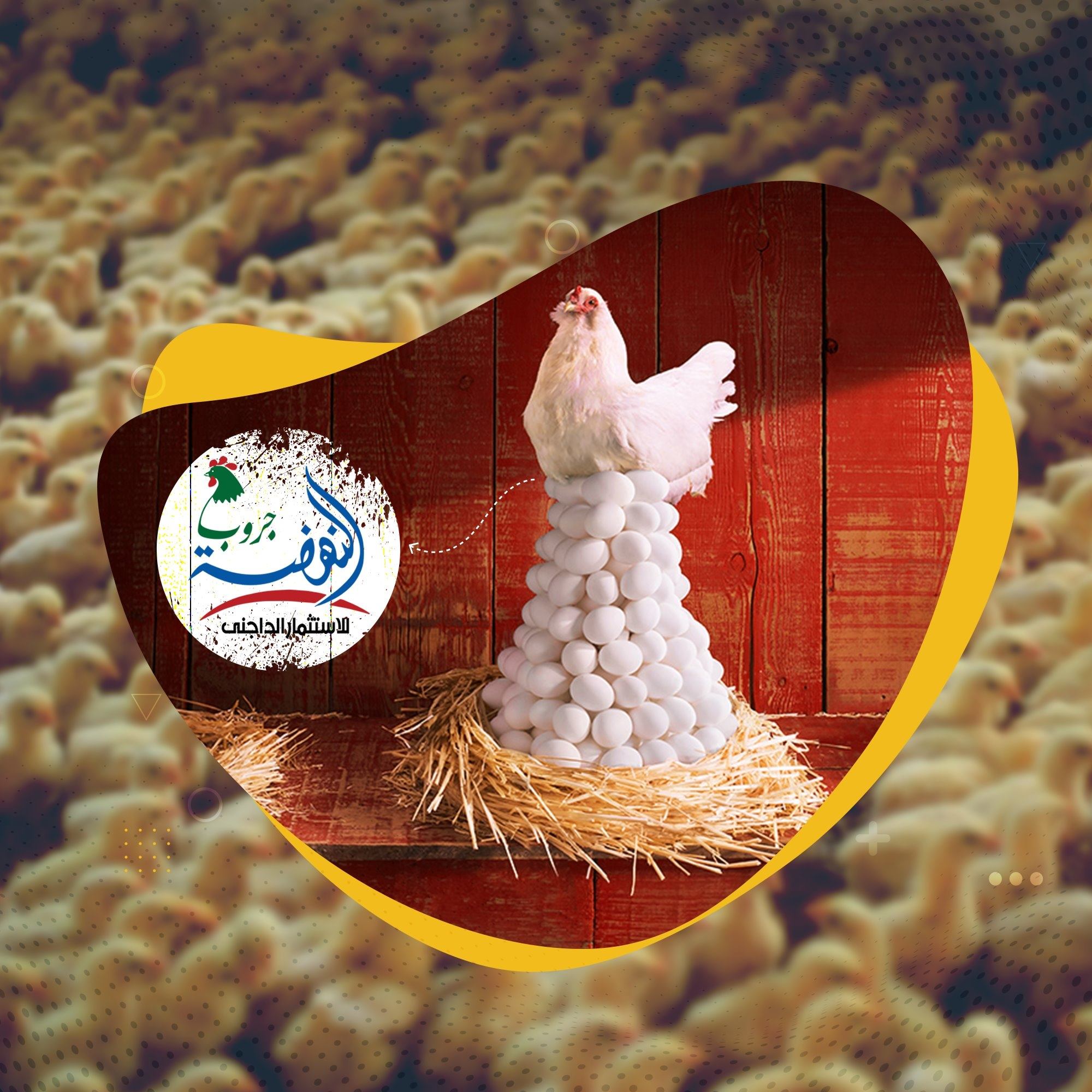 النهضة جروب للإنتاج الداجني