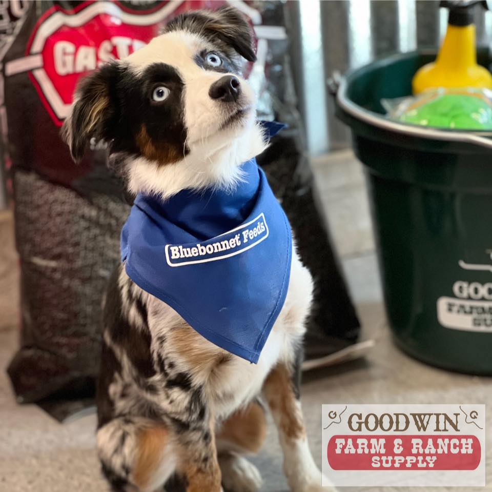 Goodwin Farm & Ranch Supply | Temple TX