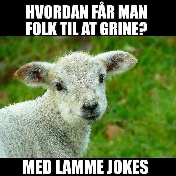 Dårlige Jokes Til Den Platte Humor Som Får Smilet Frem