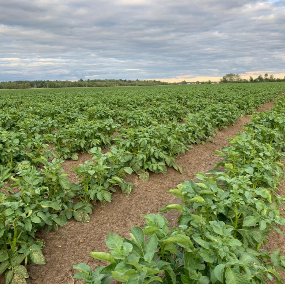 Ferme Samuc | Saint-Ambroise-de-Kildare QC