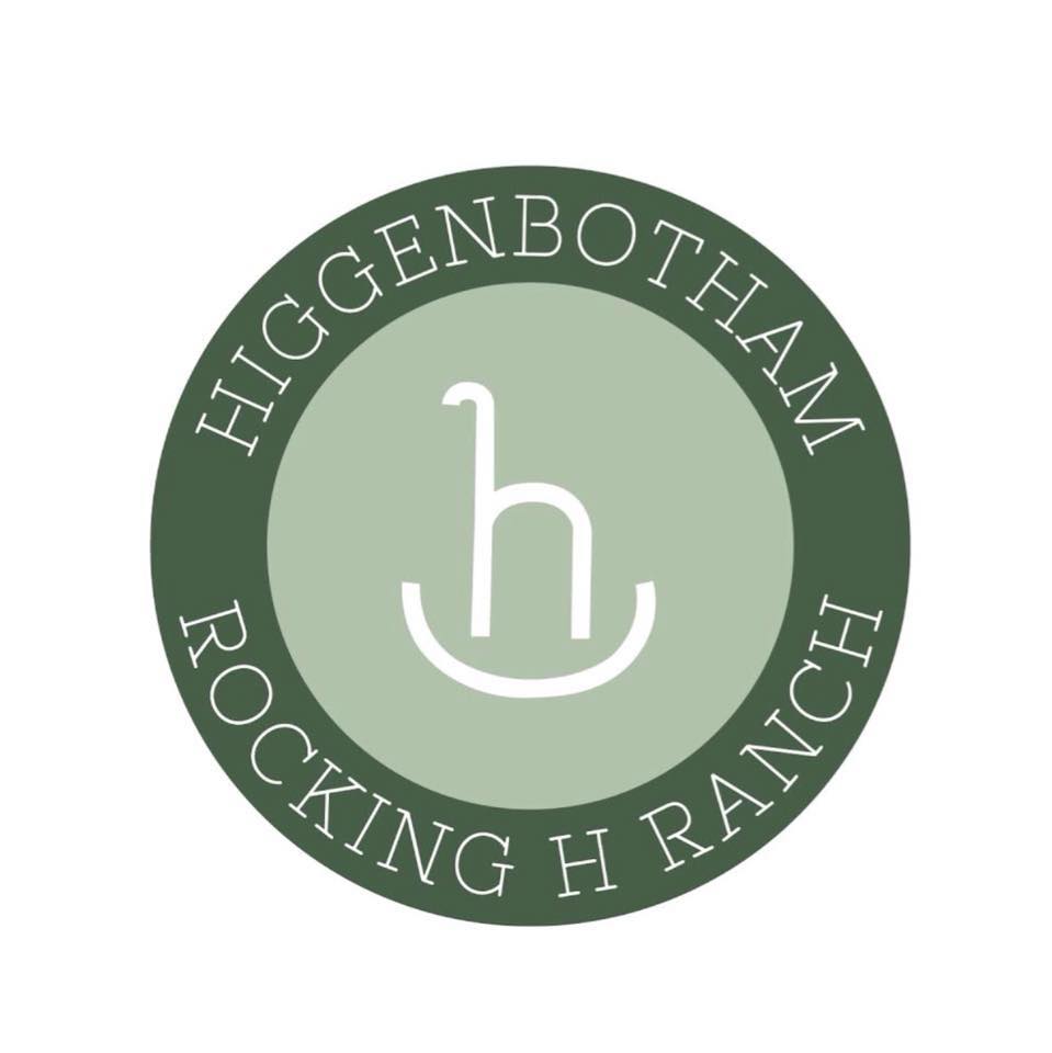Rocking H Logo Rocking Cradle Playing Logo Design Graphic By Dimensi