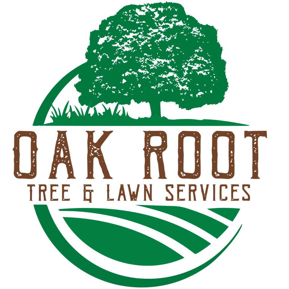 🌳 Our Wednesday in Mount... - Oak Root Tree & Lawn Services | Facebook