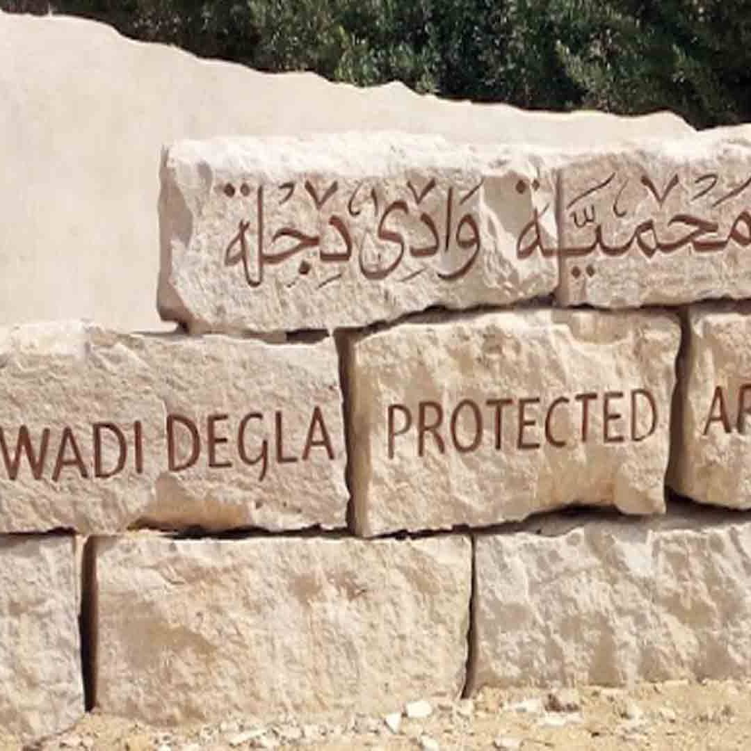 محمية وادي دجلة - Wadi Degla Protectorate | Cairo