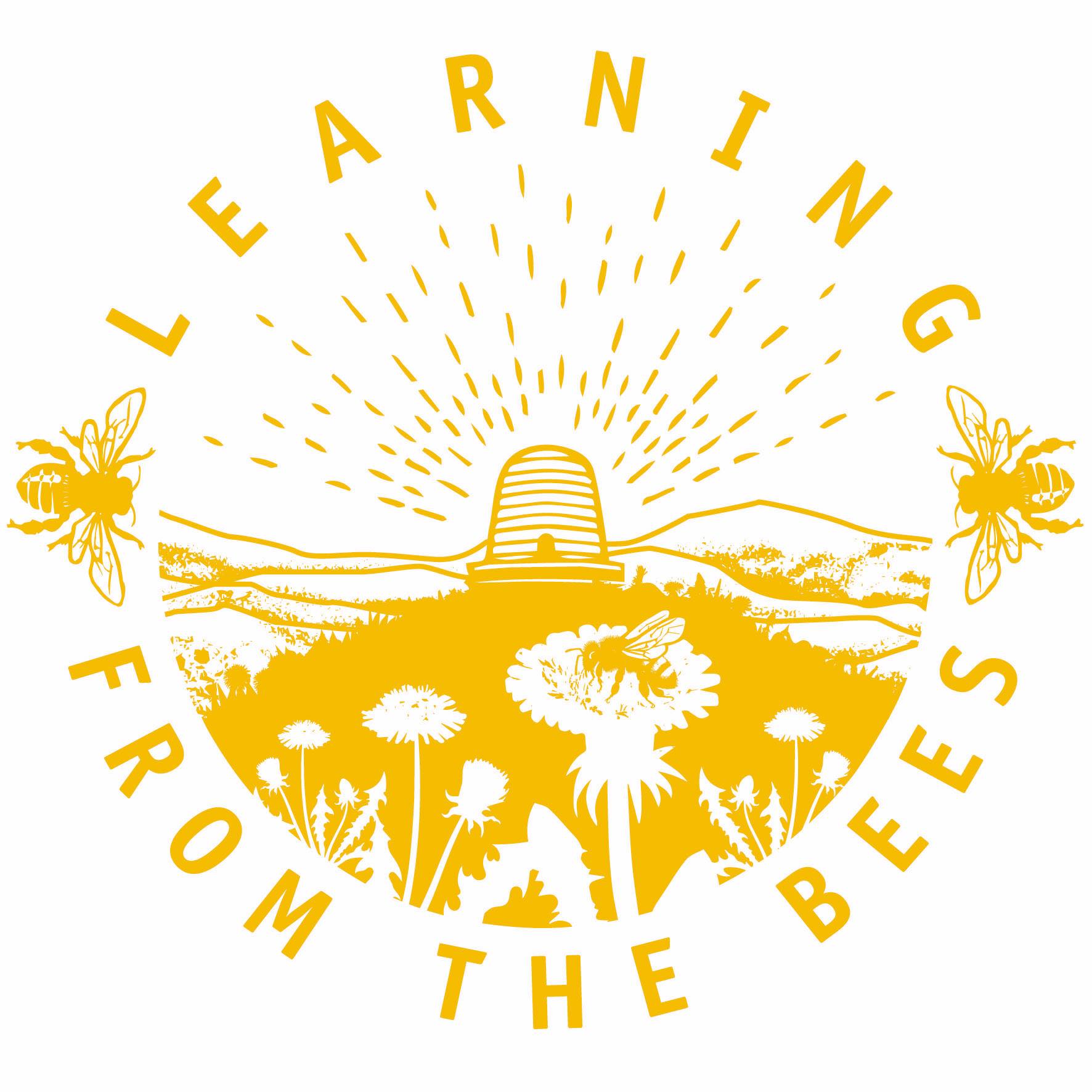 Learning from the Bees