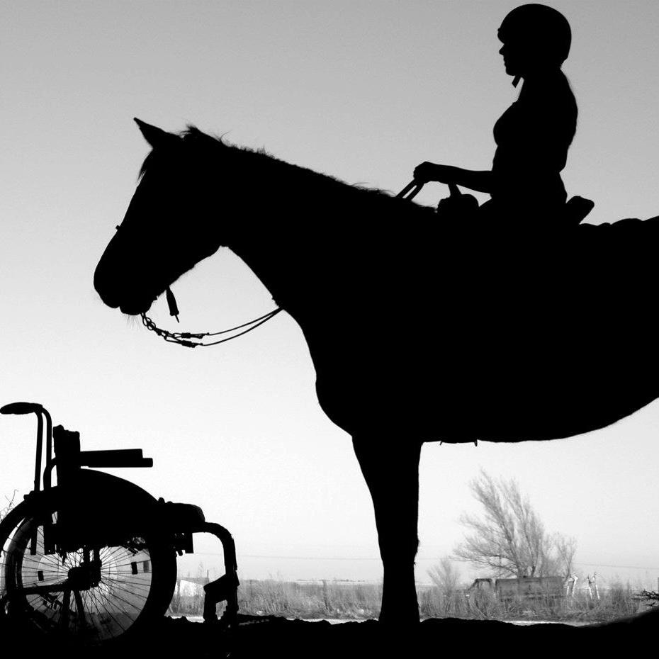 River Falls Equestrian... - River Falls Equestrian Center