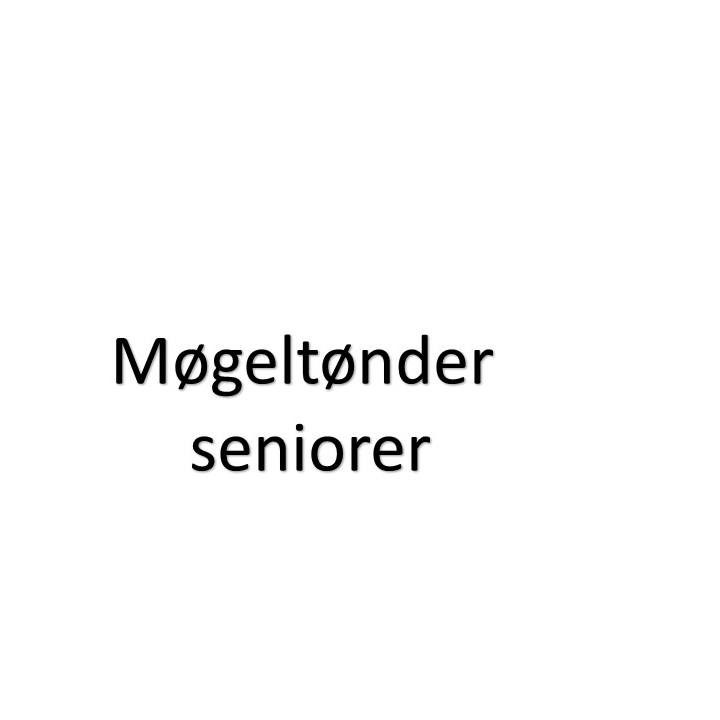 Møgeltønder Seniorer