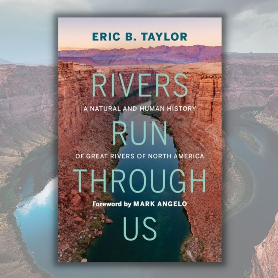 Published in 2021 - 